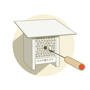 Pateschaft Wildbienen Patenschaft