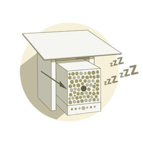 Patenschaftszyklus Wildbienenpatenschaft Winterschlaf Illustration Wildbienen