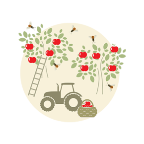 Patenschaftszyklus Wildbienenpatenschaft Obstbäume Bestäubung Obstbäume Illustration